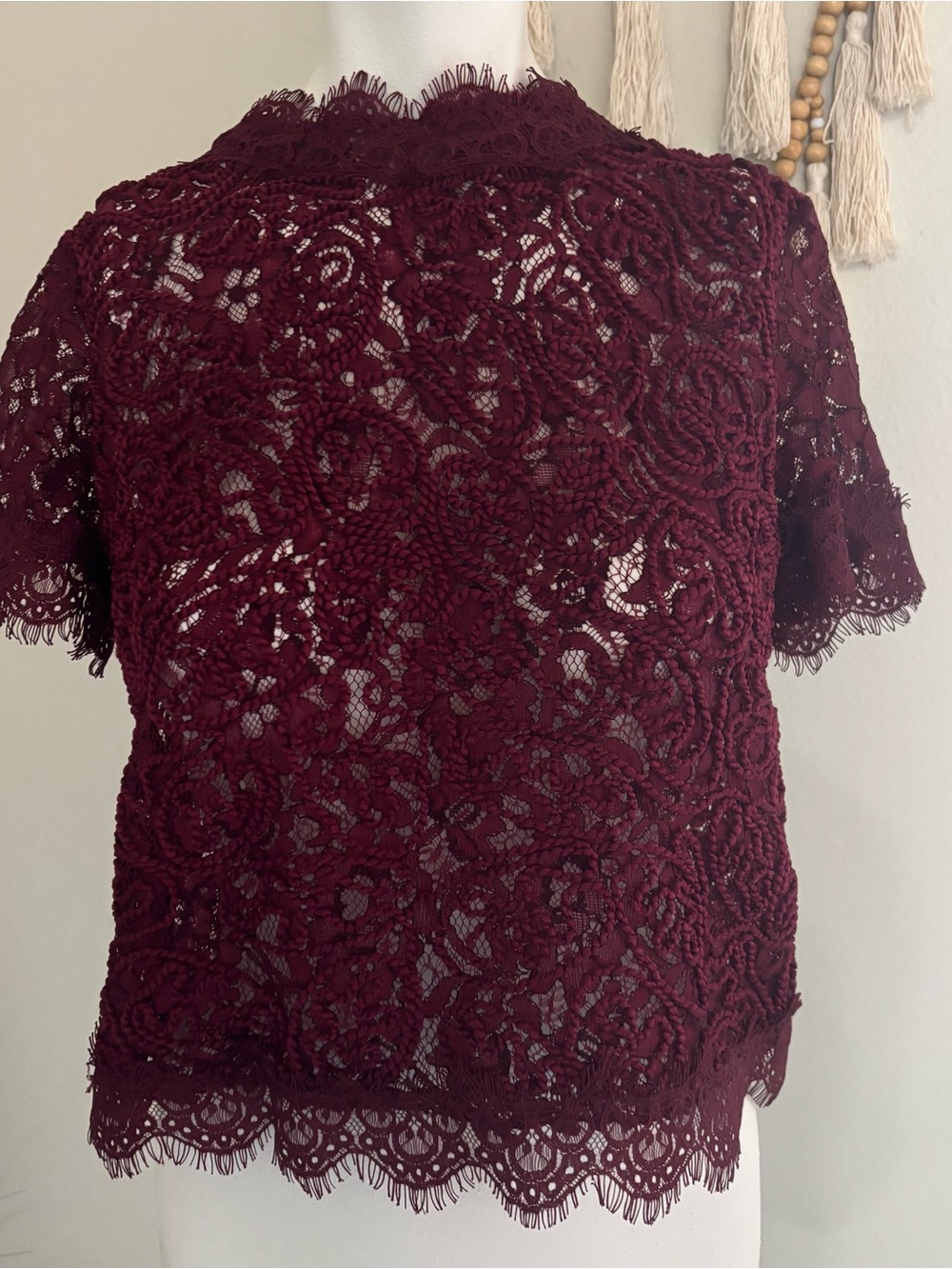 Zara Wine Lace Short Sleeve Top